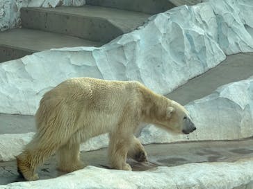 恩賜上野動物園に投稿された画像（2025/1/12）