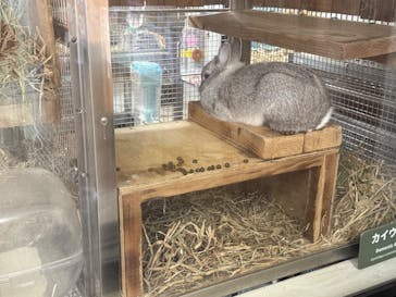 恩賜上野動物園に投稿された画像（2025/1/12）