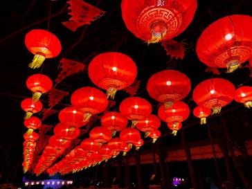 体験王国 むら咲むらに投稿された画像（2025/1/12）