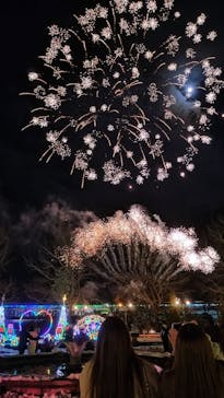 とっとり花回廊に投稿された画像（2025/1/12）