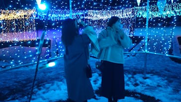 とっとり花回廊に投稿された画像（2025/1/12）