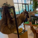 Moff animal world BIGHOPガーデンモール印西店に投稿された画像（2025/1/13）