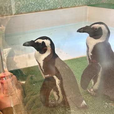 Moff animal world BIGHOPガーデンモール印西店に投稿された画像（2025/1/12）