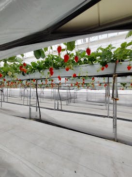 株式会社こまち野に投稿された画像（2025/1/12）