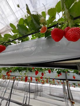 株式会社こまち野に投稿された画像（2025/1/12）