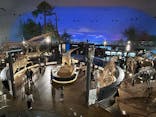 福井県立恐竜博物館に投稿された画像（2025/1/13）