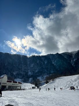 氷ノ山国際スキー場に投稿された画像（2025/1/13）