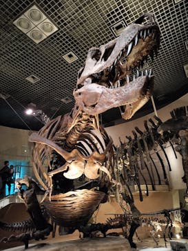 国立科学博物館に投稿された画像（2025/1/13）