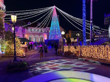 フェスタ・ルーチェに投稿された画像（2025/1/13）