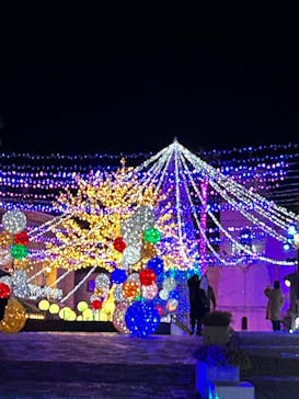 フェスタ・ルーチェに投稿された画像（2025/1/13）