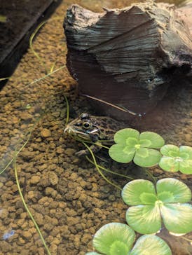 恩賜上野動物園に投稿された画像（2025/1/13）