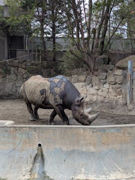 恩賜上野動物園に投稿された画像（2025/1/13）