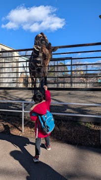 宇都宮動物園に投稿された画像（2025/1/13）