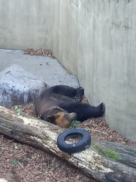 TOKYO DOME PARK DAYに投稿された画像（2025/1/13）