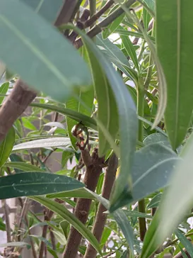 多摩動物公園に投稿された画像（2025/1/13）