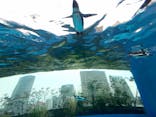 サンシャイン水族館に投稿された画像（2025/1/13）