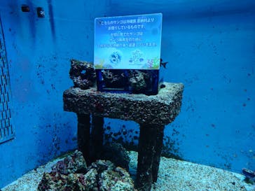 サンシャイン水族館に投稿された画像（2025/1/13）