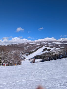 菅平高原スノーリゾートに投稿された画像（2025/1/13）