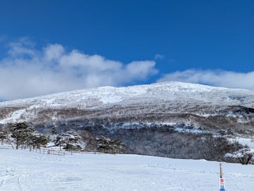 菅平高原スノーリゾートに投稿された画像（2025/1/13）