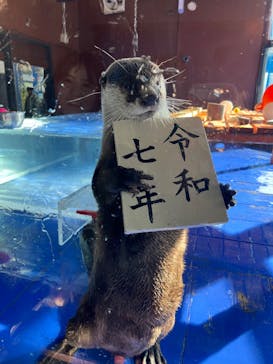 ゼロ距離水族館 伊勢シーパラダイスに投稿された画像（2025/1/13）