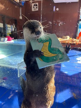 ゼロ距離水族館 伊勢シーパラダイスに投稿された画像（2025/1/13）