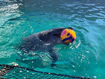 ゼロ距離水族館 伊勢シーパラダイスに投稿された画像（2025/1/13）