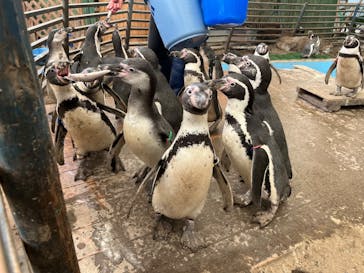 ゼロ距離水族館 伊勢シーパラダイスに投稿された画像（2025/1/13）