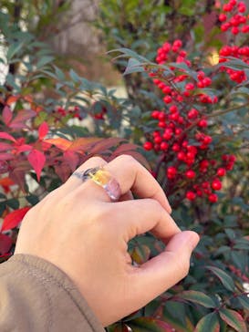 ガラススタジオブリエに投稿された画像（2025/1/13）