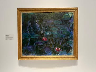 モネ 睡蓮のとき（国立西洋美術館）に投稿された画像（2025/1/13）