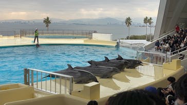 マリンワールド海の中道に投稿された画像（2025/1/13）