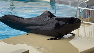 マリンワールド海の中道に投稿された画像（2025/1/13）