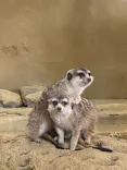 ひらかたパークに投稿された画像（2025/1/13）