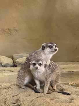 ひらかたパークに投稿された画像（2025/1/13）