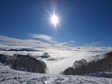 村上市ぶどうスキー場に投稿された画像（2025/1/13）