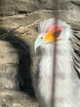東武動物公園に投稿された画像（2025/1/13）