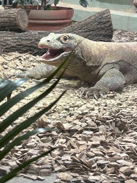 名古屋市東山動植物園に投稿された画像（2025/1/13）