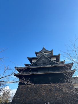 松江城に投稿された画像（2025/1/13）