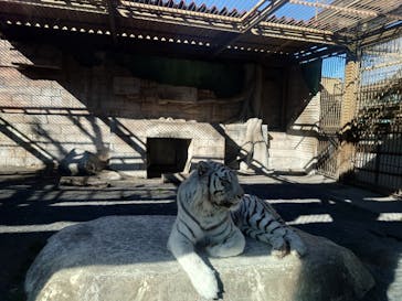 東武動物公園に投稿された画像（2025/1/13）