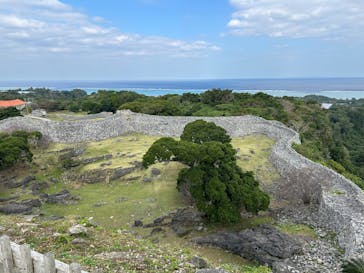 今帰仁城跡に投稿された画像（2025/1/13）