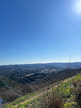 マザー牧場に投稿された画像（2025/1/13）