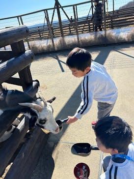 マザー牧場に投稿された画像（2025/1/13）