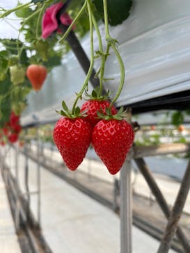 株式会社こまち野に投稿された画像（2025/1/13）