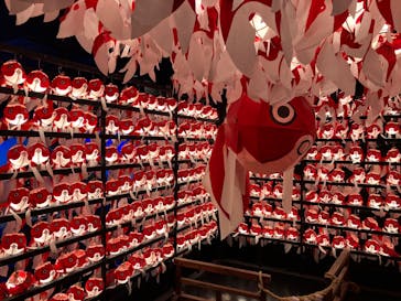 NARA IKIMONO MUSEUMに投稿された画像（2025/1/13）