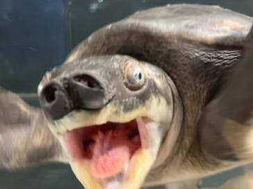 NARA IKIMONO MUSEUMに投稿された画像（2025/1/13）