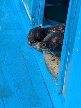ゼロ距離水族館 伊勢シーパラダイスに投稿された画像（2025/1/13）