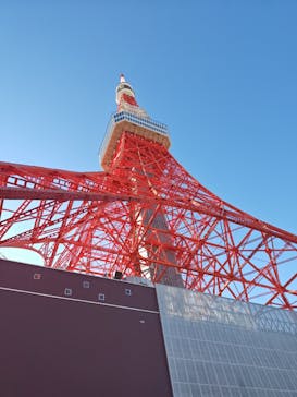 東京タワーに投稿された画像（2025/1/13）