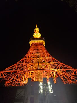 東京タワーに投稿された画像（2025/1/13）