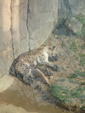 天王寺動物園に投稿された画像（2025/1/13）