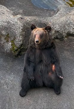 阿蘇カドリー・ドミニオンに投稿された画像（2025/1/13）