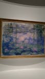 モネ 睡蓮のとき（国立西洋美術館）に投稿された画像（2025/1/13）